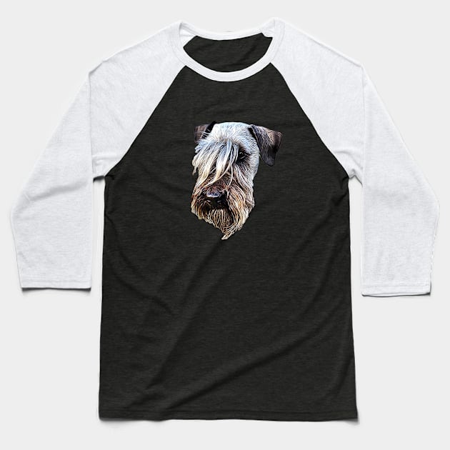 Cesky Terrier Gorgeous Dog Baseball T-Shirt by ElegantCat